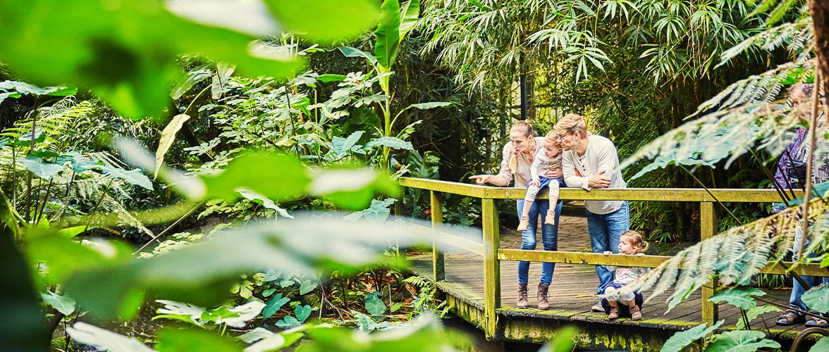 Raus in die Natur! Erlebnisreiche Aktivitäten in Hamburg und Umgebung 