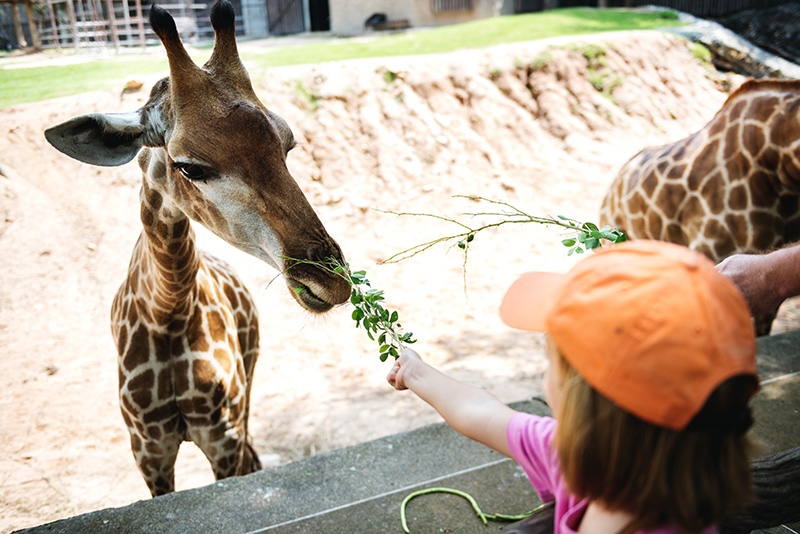 Tier- und Freizeitpark Jaderberg