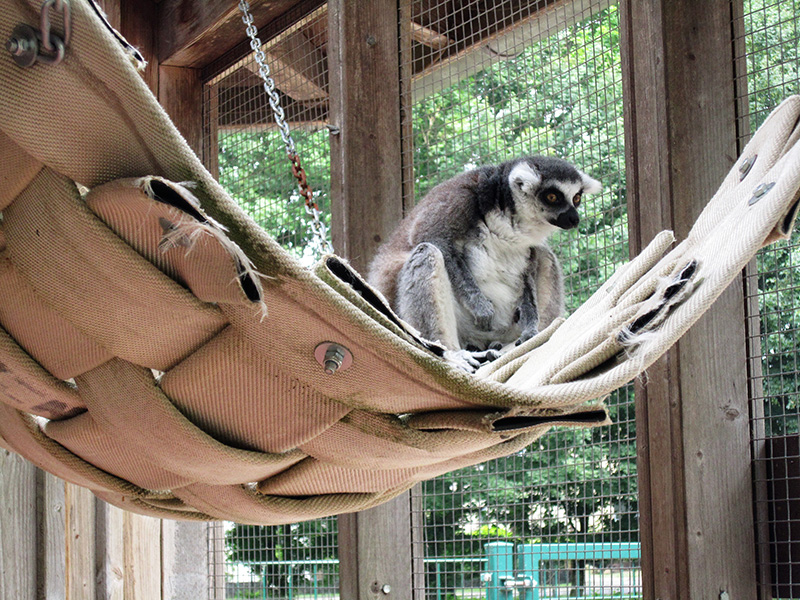 Tierpark Petermoor