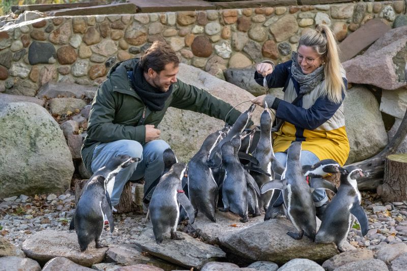 Zoos und Tierparks in Bremen