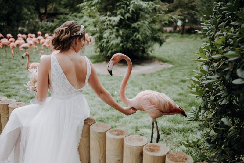 Hochzeit im Weltvogelpark Walsrode