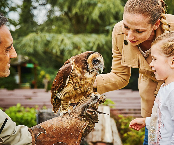 Auf Federfühlung mit Deinem Lieblingsvogel