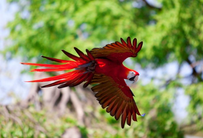 Hero Banner Weltvogelpark Walsrode