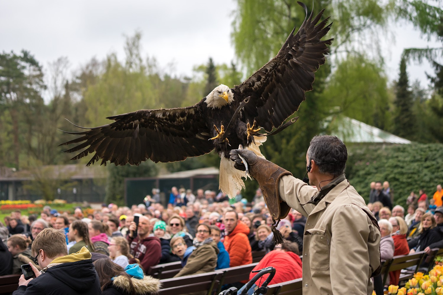 Hero Weltvogel