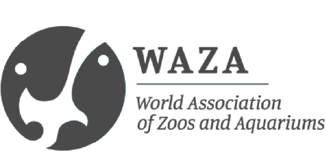 WAZA