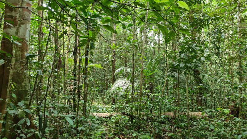 Reisebericht Kolumbien