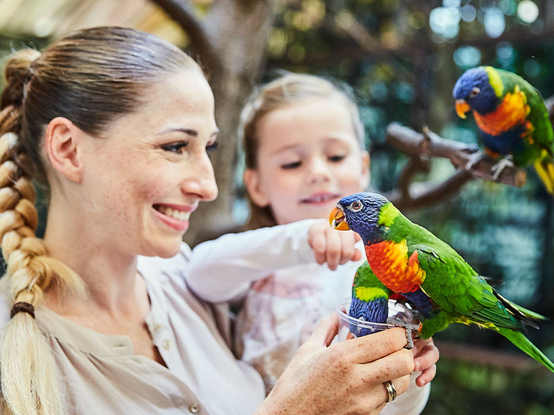 Australische Erlebniswelt Toowoomba