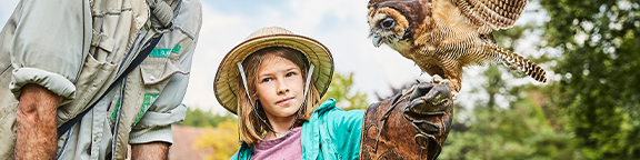 Shows und Fütterungen