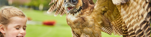 Auf Federfühlung mit Deinem Lieblingsvogel