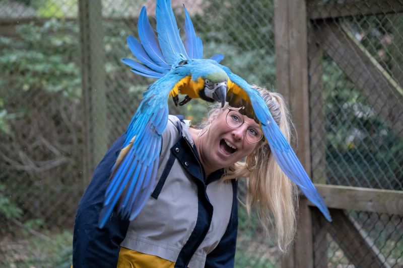 Auf Federfühlung mit Deinem Lieblingsvogel