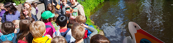 Angebote für Schulen