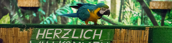 Indoorshow-Gebäude