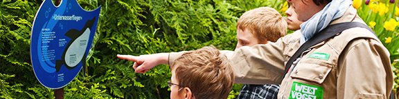 Schulen und Kindergärten