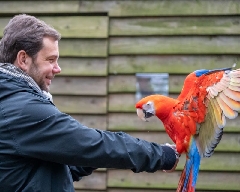 Meet & Greet Pinguine