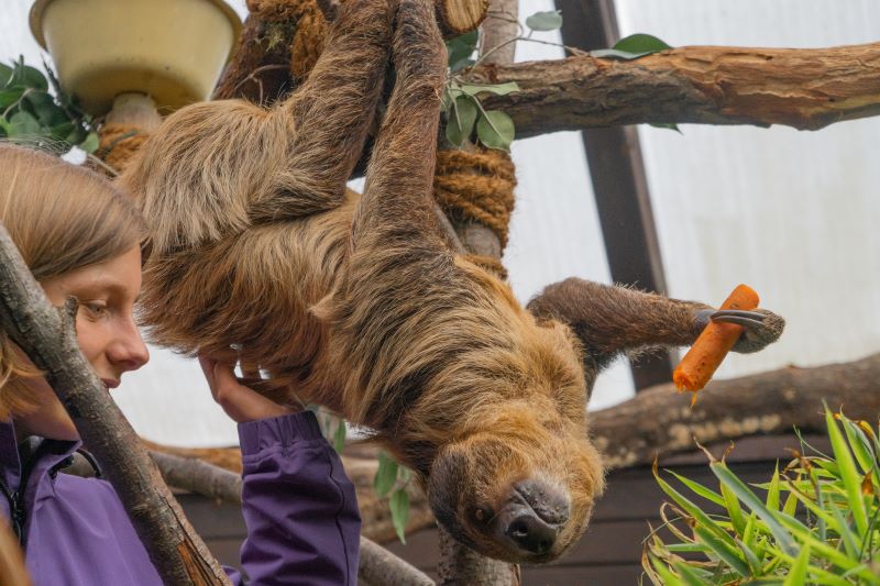 Meet & Greet Best Of