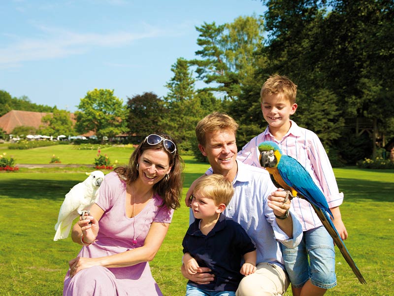 Meet & Greet Papageien