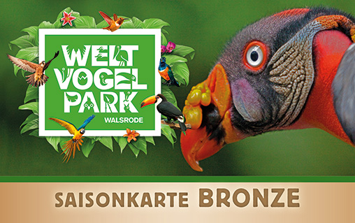 Saisonkarte Bronze